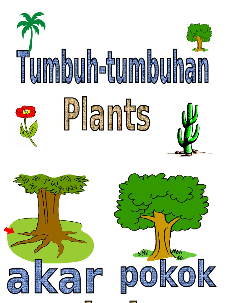 tumbuh tumbuhan tumbuh tumbuhan