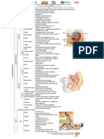 Anatomi y Fisiologia