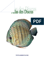 Portable Discus Atlas