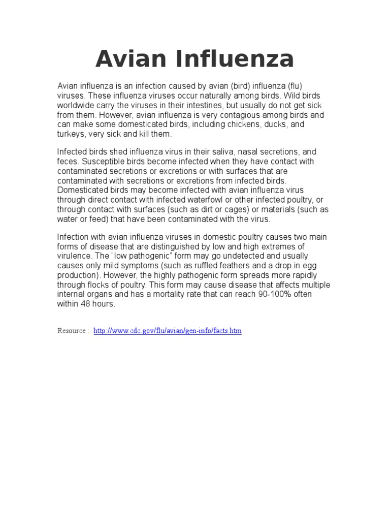 Avian Flu | PDF
