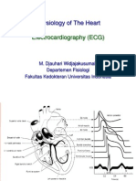 Physiology of The Heart: Electrocardiography (ECG)
