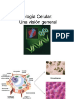 1.-Biología Celular