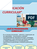 Programación Curricular