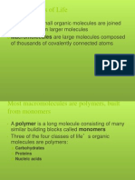 the structure and function of macromolecules