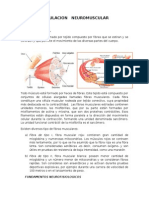 Resumen Electroestimulacion