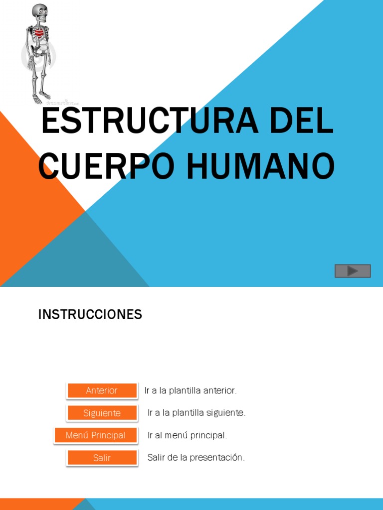 Estructura del Cuerpo Humano | PDF | Anatomía humana | Anatomia animal