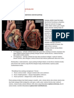Memahami Dan Menjelaskan Anatomi Jantung