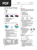 Download Kumpulan Latihan Soal Enzim by Medina Andini SN191059024 doc pdf