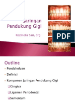 Dental Hygienist1-Jaringan Pendukung Gigi-Dosen