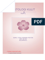 Histologi Integumen (Chaca-Patris)