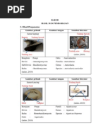 Download laporan jamur by Deydra Fitria Nur R SN191067024 doc pdf