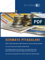 Economic View 2011 July Turkey