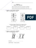 c3 Heredity and Variation