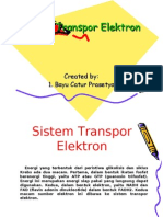 Sistem Transpor Elektron