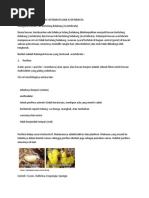 Download Pembagian Jenis Hewan Vertebrata Dan Avertebrata Lengkap by AzizMitra SN191078306 doc pdf