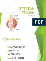 Otot Dan Tendon