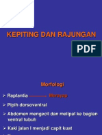 Kepiting Dan Rajungan