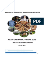 Plan Operativo Anual 2013