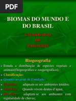 biomasdomundoedobrasil-110511192350-phpapp02