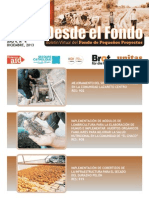 Boletín electrónico "Desde el Fondo" Nº 4. Diciembre de 2013