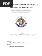 Download Fisiopatologia Causada Por Treponema Pallidum by Eric Jos Rodrguez Camarena SN191120291 doc pdf