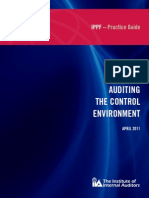 Auditing_the_Control_Environment_abr2011.pdf