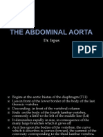 The Aorta