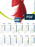 Calendário 2014 Betta