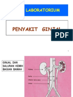 KULIAH  GINJAL