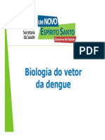 Biologia Vetor Palestra