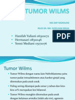 Tumor Wilms Pp