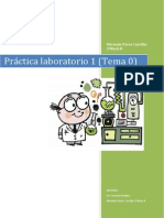 PRÁCTICA LABORATORIO Bien