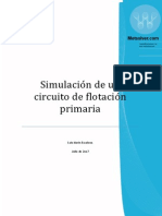 Flotacion SIM Dt4