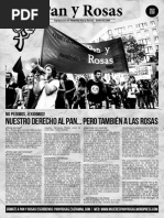 Suplemento Especial de Pan y Rosas Barcelona