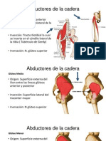 Abductores y Aductores de La Cadera