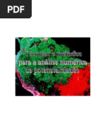 Partes Tecnicas Metodos Analise Pontencialidades