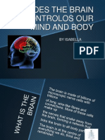 Power Point - Brain