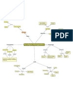 Paradigma psicogenético