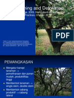 DBT 13 - Pruning & Defoliation