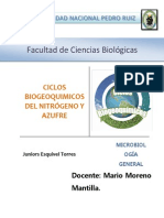 Ciclos Biogeoquímicos Monografia