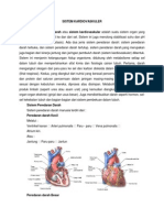 Sistem Kardiovaskular Pada Manusia