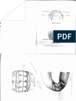 Sisteme Dentitie Ecvine+Ovine