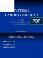 Anatomy of Cardiocascular