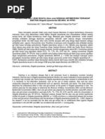 Download Ramadhani Hidayat Dwi P by Ahmad Lutfi SN191261659 doc pdf