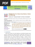 Multiplication New Shoots from Embryo Culture on Globba spp.