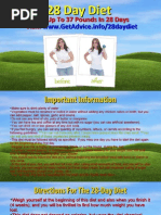 Download 28 Day Diet Plan by Ali Hasnain SN191264175 doc pdf