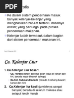 Download Tumor Parotispdf by letitiabellavesta24 SN191285806 doc pdf