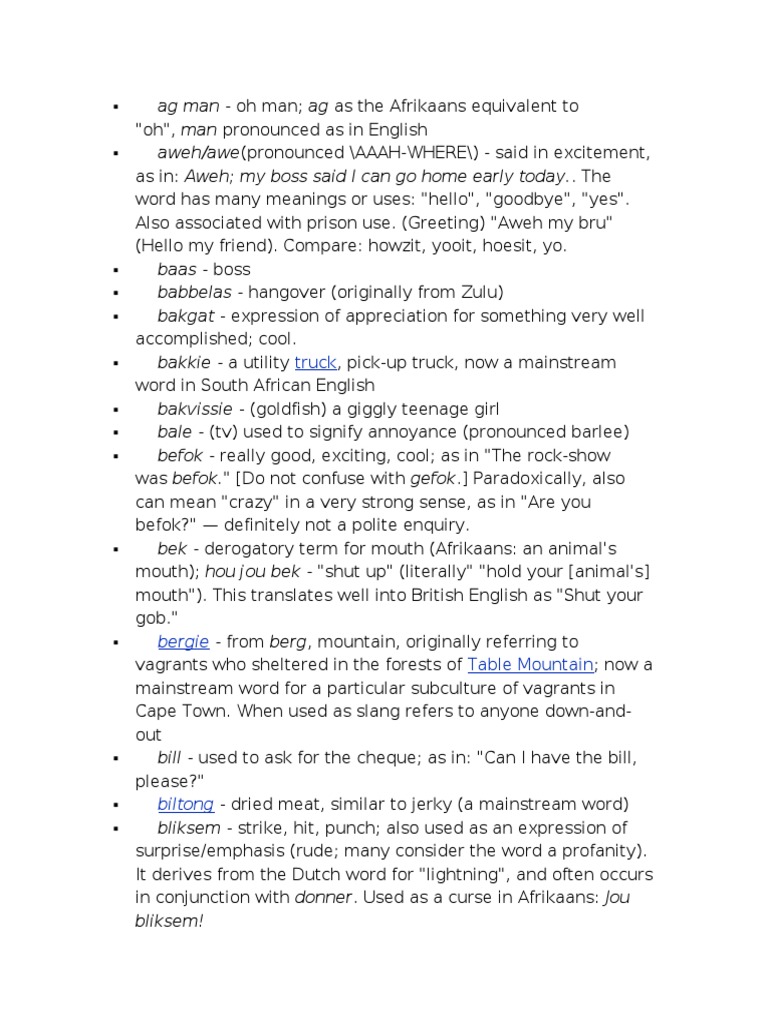 South African Slang Dictionary | PDF