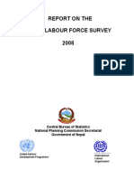 Report on Nepal labour force survey