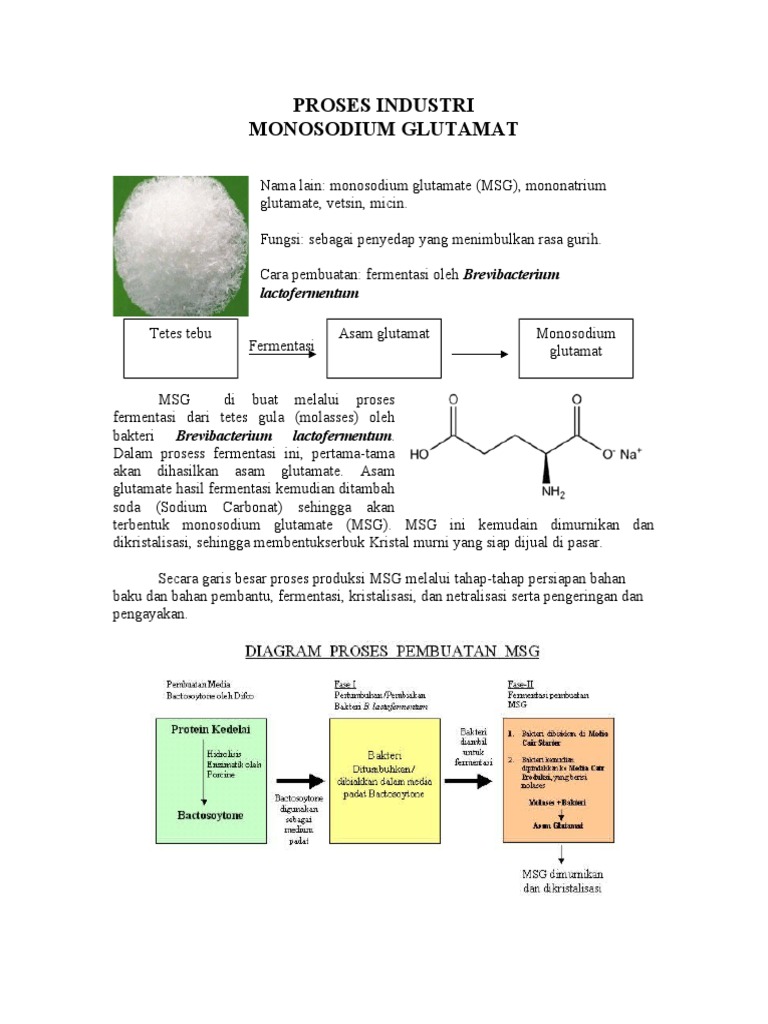 Monosodium Glutamat bahan pangan dalam masakan Indonesia